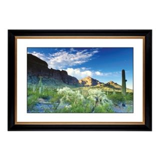 Cactus Field Giclee 41 3/8" Wide Wall Art   #47228 80384
