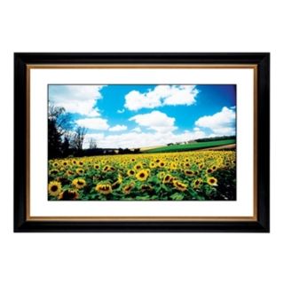 Sunflower Field Giclee 41 3/8" Wide Wall Art   #56022 80384