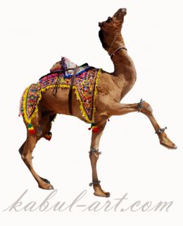 Kamel decke eines Brautkamels, handbestickt mit Seide auf