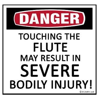 Funny Flute Posters & Prints