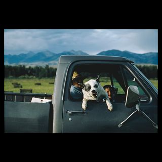 National Geographic Art Store  American West  A ranchers dog