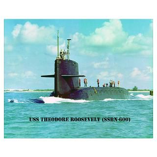 Wall Art  Posters  USS THEODORE ROOSEVELT Poster