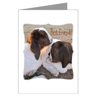 Friends With Benefits Greeting Cards  Buy Friends With Benefits Cards
