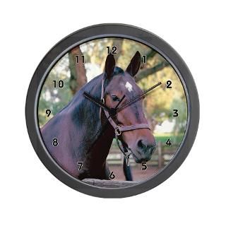 Lipizzaner Horse Clock  Buy Lipizzaner Horse Clocks