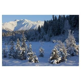 Wall Art  Posters  Scenic view of Chugach Mountains
