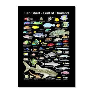 Fish Identification Chart 23x35in Large Poster > Dive Indeep   designs