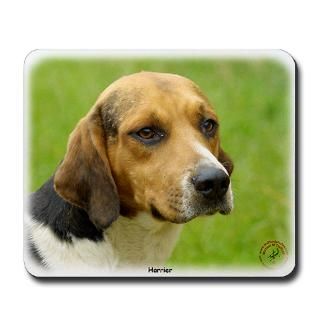 Photographer Mousepads  Buy Photographer Mouse Pads Online