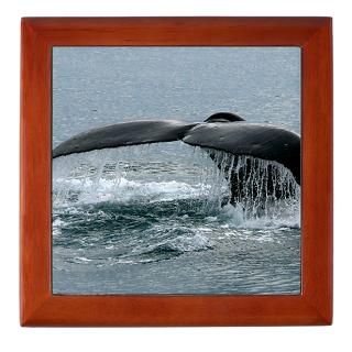 Whales Keepsake Boxes  Whales Memory Box