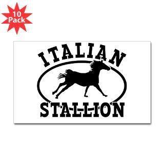 ltalian Stallion  Italian T Shirts from Biscotti Mafia