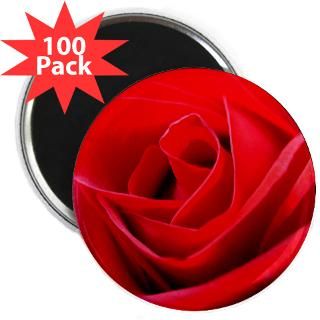 Beautiful Red Rose Gifts & Shirts : Red Rose Gifts, T shirts & Apparel