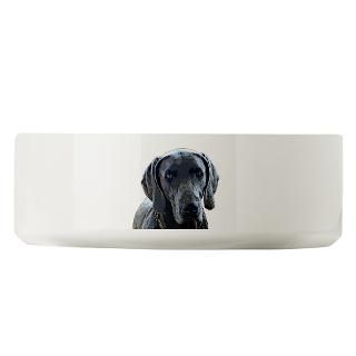 Weimaraners Pet Stuff  Bowls, Collar Tags, Clothing & More