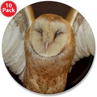 Barn Owl  Trackers Tracking and Nature Store