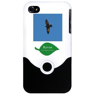 Raven in Flight  Trackers Tracking and Nature Store