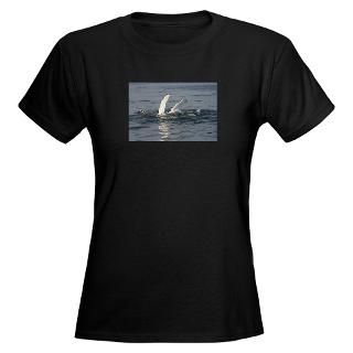 Humpback Whales T Shirts  Humpback Whales Shirts & Tees