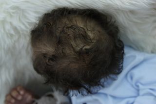 Biracial Reborn Baby Doll Callum Prototype by Kathryn Brodie