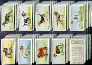 Cigarette Card Set WD HO Wills Dog Breeds ALSATIAN to Wolfhound 1937