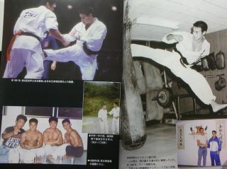 Kenji Midori shin kyokushin karate book manga Martial Arts mas oyama
