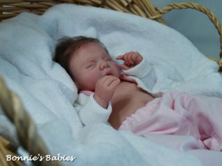 Precious Reborn Prototype Danielle Zweers Kiran from Doll Dreams