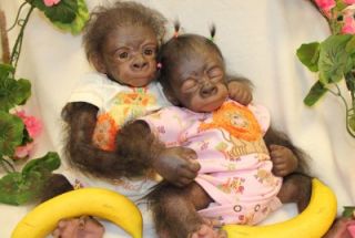 Reborn Kiwi Pearl Gorilla Kits Painted Rooted w Eyes 68989