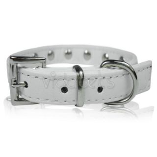 11 14 White Leather Spiked Studded Dog Collar Small