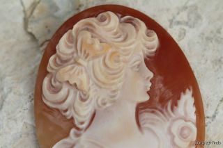 Vintage Hand Carved Shell Cameo with No Setting