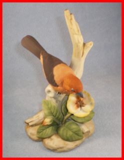 Lefton Porcelain Hand Painted Antique Tanager Bird Figurine 7 Tall