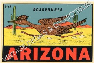 Roadrunner Arizona State Bird Souvenir Lindgren Turner Art