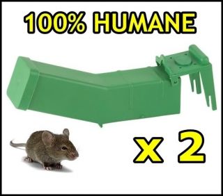 247   5 X REUSEABLE HUMANE LIVE MOUSE MICE TRAP CATCH CATCHER