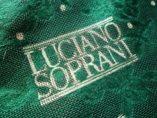 Authentic Luciano Soprani Large Silk Scarf