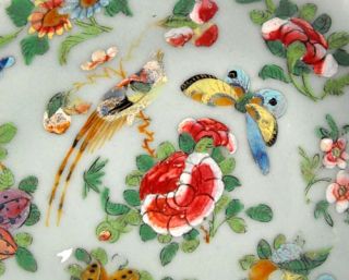 19thC Chinese Famille Vert Canton Plate