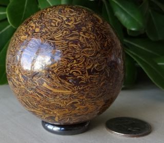 Calligraphy Stone Maryam Gem Stone 59 mm Crystal Sphere RARE