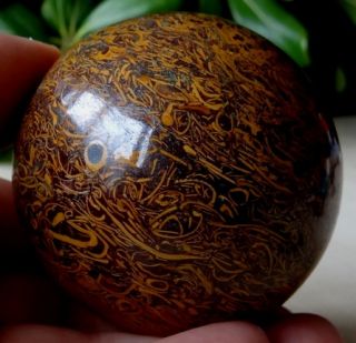 Calligraphy Stone Maryam Gem Stone 59 mm Crystal Sphere RARE