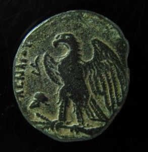 Egypt Ptolemy I AE 1 4 Obol with Head of Alexander The Great