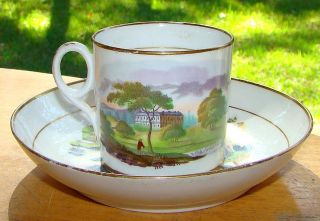 Hall Historical Scenic Porcelain Cup Saucer Twickenham Meadows