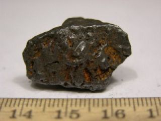 Meteorite Sikhote Alin Russia Iron Nickel 27 x 19 mm 8 3 Gram EC43