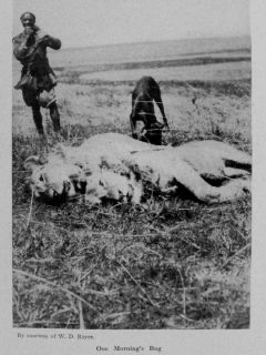 1910 Africa Big Game Hunting Elephant Lion Buffalo Rhino +PHOTOS VERY