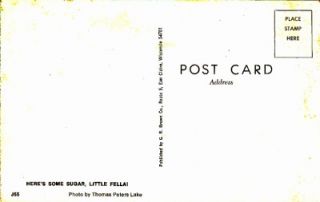 Postcard 1960 70 Greetings From Menomonie, Wisconsin Children Colt