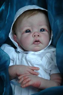 Best Price Reborn Baby Doll Lifelike Baby Girl or Boy