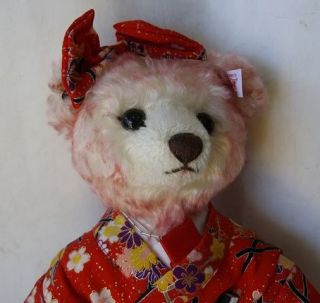 New Matsujhime Steiff Teddy Bear Japan 1500 EDT Woodbox Certificate