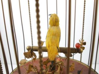 Vintage KG German Singing Bird Cage Antique Brass Automaton Music Box