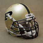 WAKE FOREST DEMON DEACONS 2001 CURRENT Full Size REPLICA Football