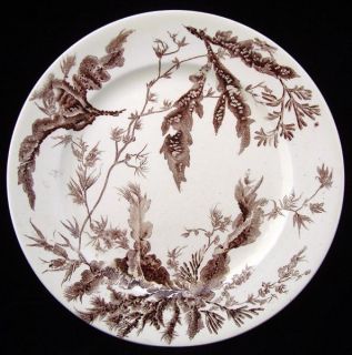 Wedgwood Brown Transferware Staffordshire Plate Seaweed 1883