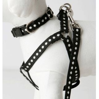 Lola & Foxy Nylon Dog Leashes   Oreo   Leashes   Collars, Harnesses & Leashes