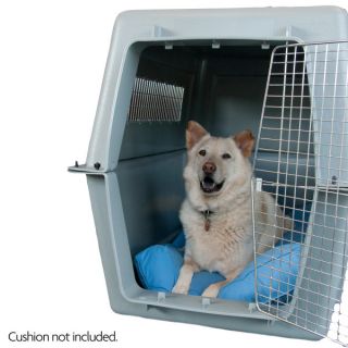 Petmate Plastic Carriers for Large Breeds   Sale   Dog