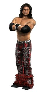 WWE Smackdown vs Raw 2010 Sony PSP Games