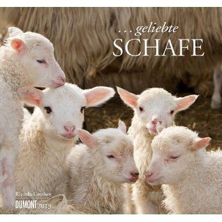 geliebte Schafe Kalender 2013: Ricarda Grothey: Bücher