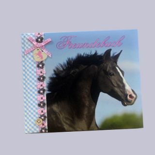 DEPESCHE Freundebuch Pferde Horses Dreams TOP MODEL