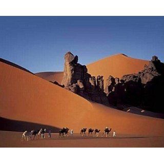 Poster 50x40 Kamelkarawane in der Wüste   Foto Dünen Kamele Sahara