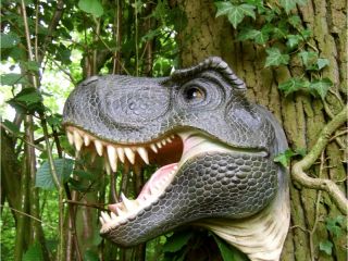 Dinosaurier Kopf, Garten Skulptur, SAURIER DINO/ T REX