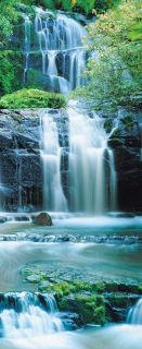 Fototapete PURA KAUNUI FALLS 92x220 cm Wasserfall Wald